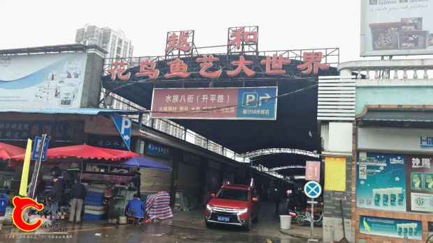 微信图片_201811042356594.jpg