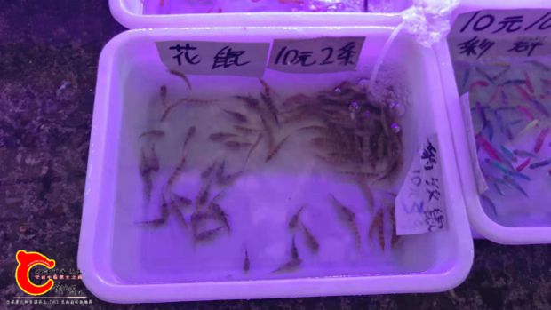 微信图片_201811042357015.jpg