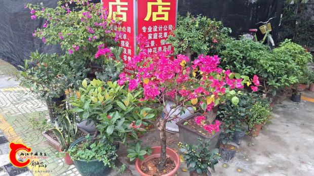 微信图片_201811042359126.jpg
