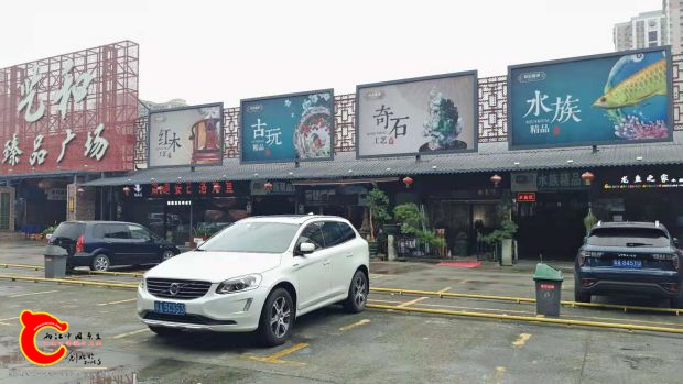 微信图片_201811042359129.jpg