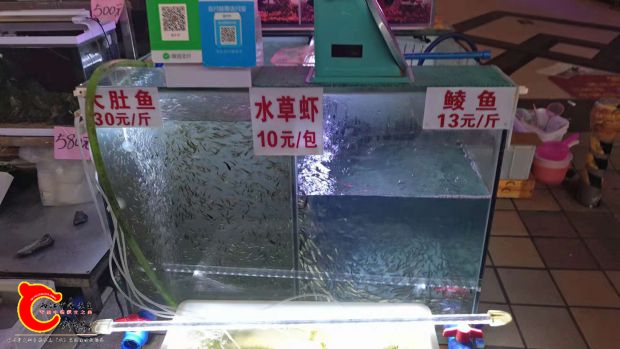 微信图片_2018110423565926.jpg