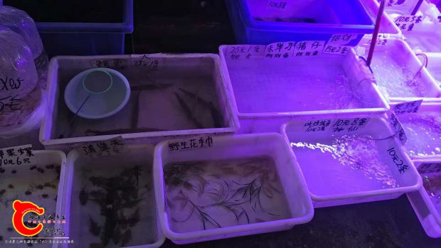 微信图片_2018110423565934.jpg