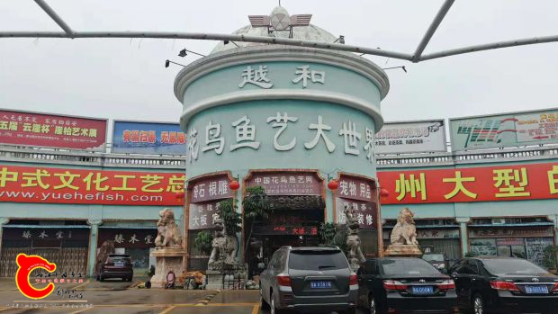 微信图片_2018110423570115.jpg