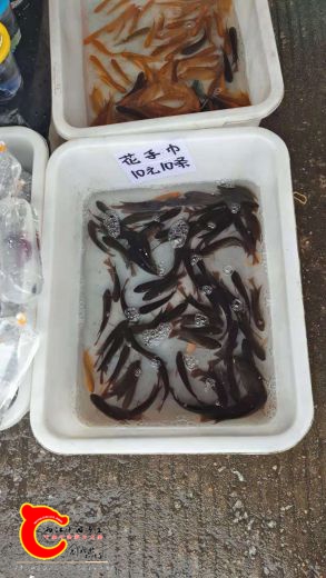 微信图片_2018110423570121.jpg