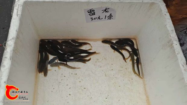 微信图片_2018110423570122.jpg
