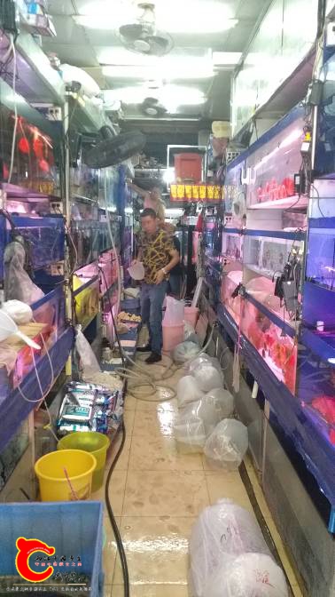 120700m66xlcaxlgqi4ine.jpg
