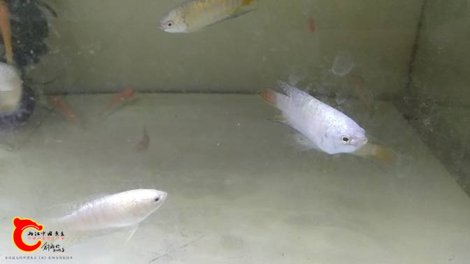 120718j96b0ifjn9cd43f6.jpg