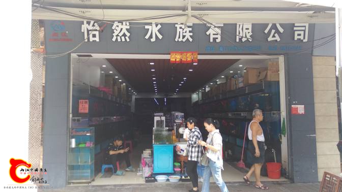 120720dofzopcocpkhjok2.jpg