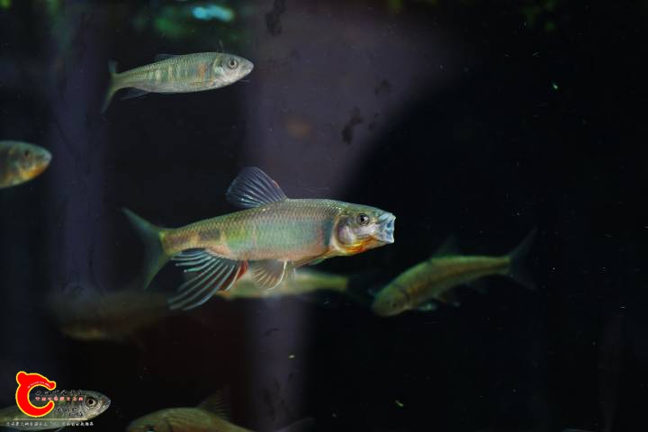 110748wlrrptct17uetp1e.jpg