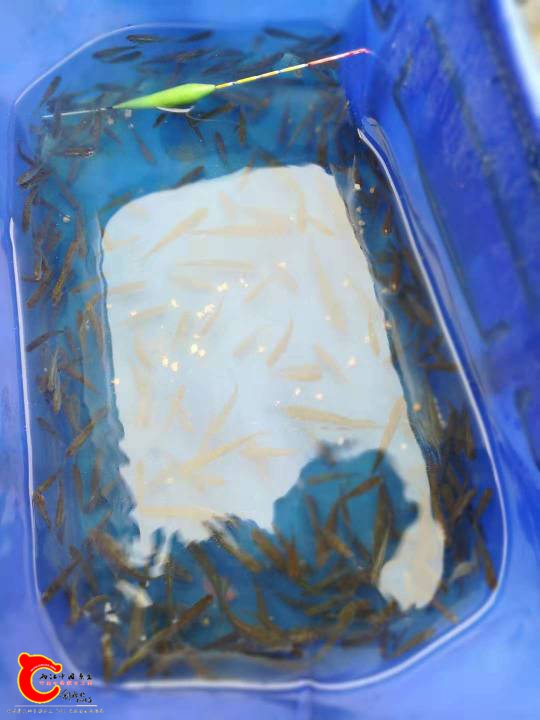 185430kz554c2h1abdl4cl.jpg