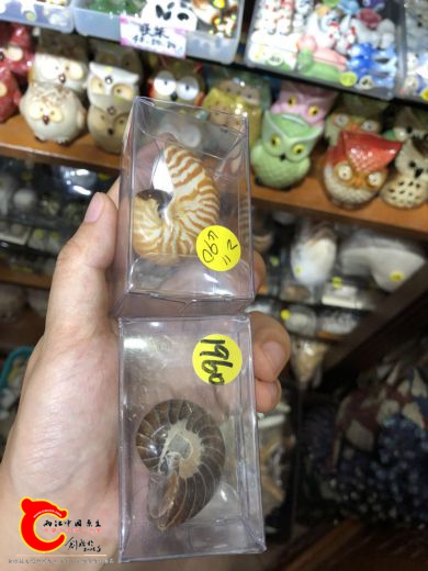 微信图片_20181126154543.jpg