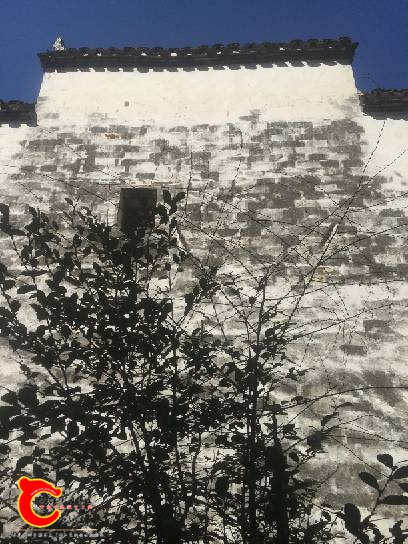 103636w2ll3ridkloonvke.jpg