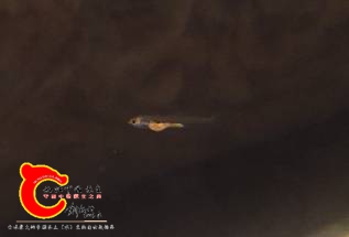 122021yaddad3lj5gkii3z.jpg