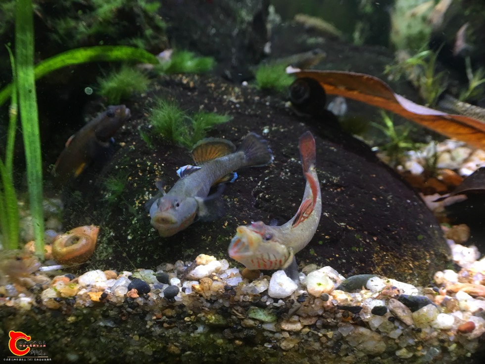 084318twow7f5n6skskhsv.jpg