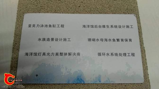 100804lhkz7i1kl1rhf1ah.jpg