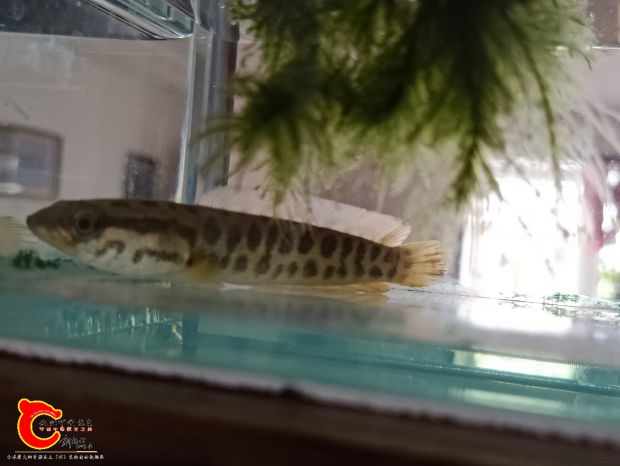 IMG20181205103844.jpg