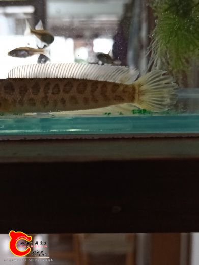 IMG20181205103941.jpg