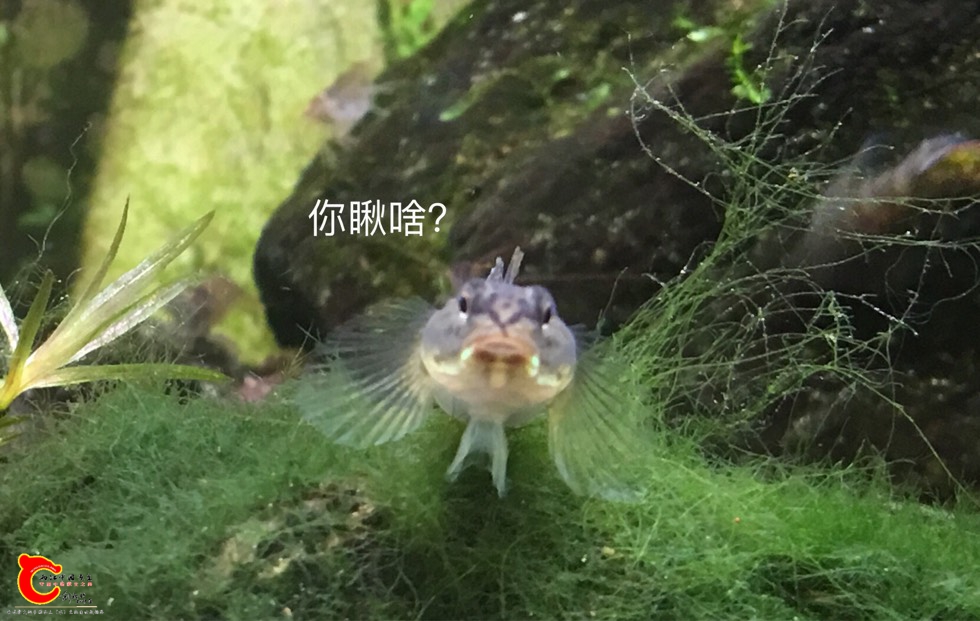 114707cf444dyg49zd4t7e.jpg