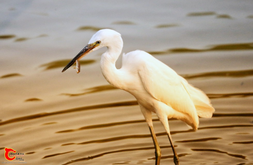 092012xts0ijtqa0ziijji.jpg
