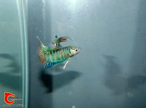 DSCI0926.jpg
