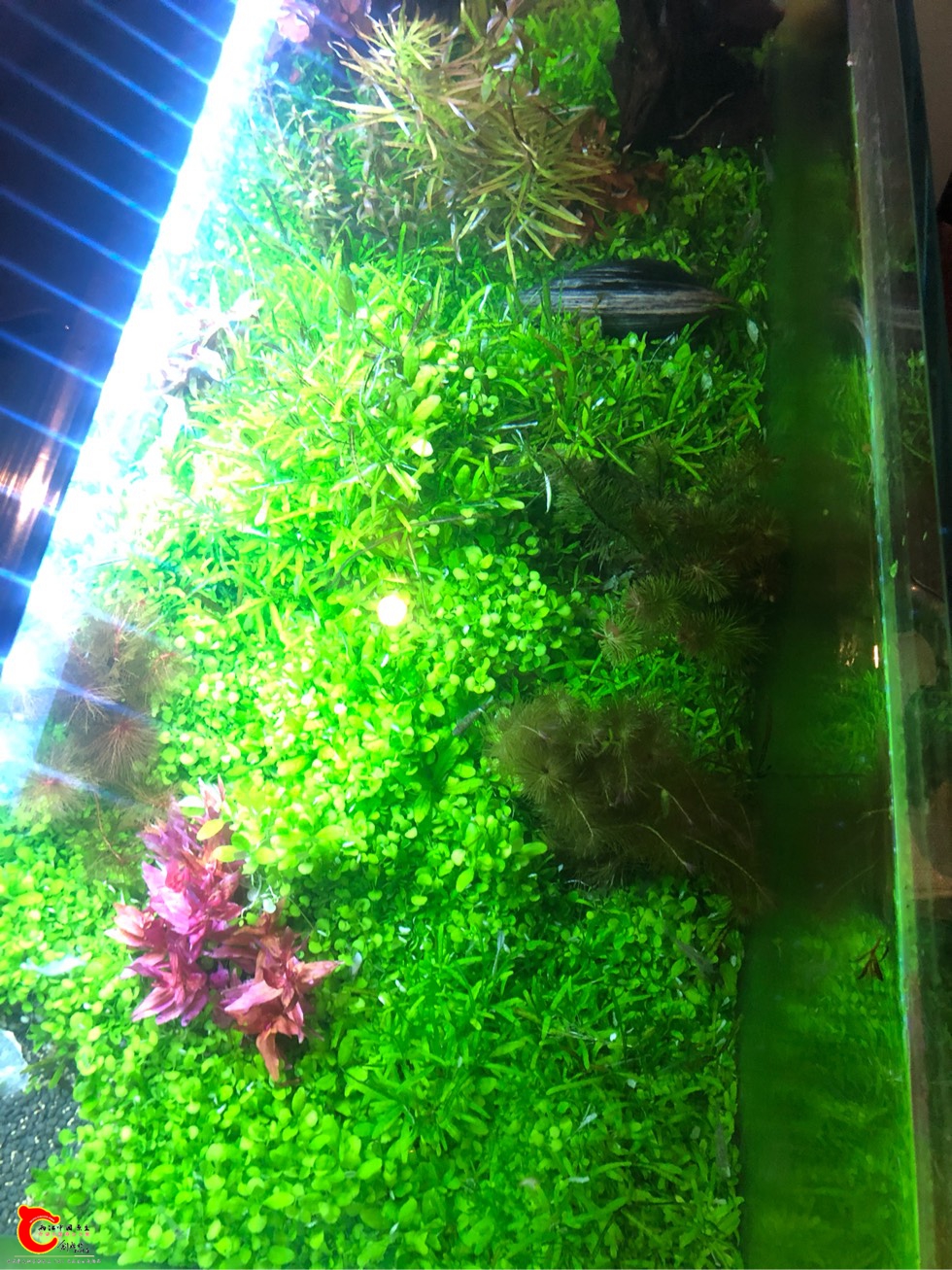 011102ca30dqe2geapcykm.jpg