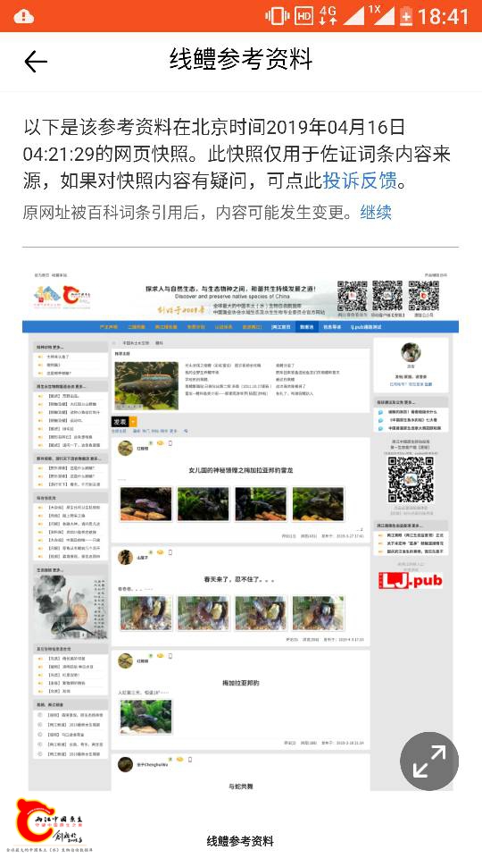 184313ypsx3r38v7shzv73.png