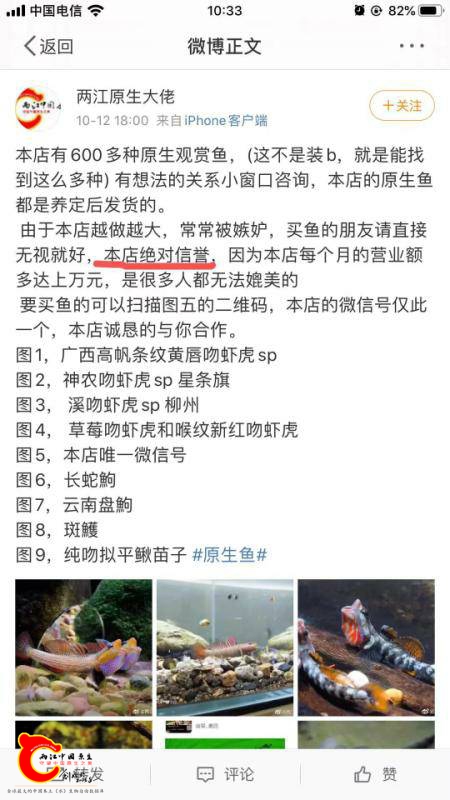 110952y6qb9imx9yq5qxz3.jpg