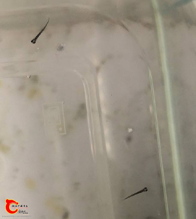 112419c011iwkx6x1e19mi.jpg