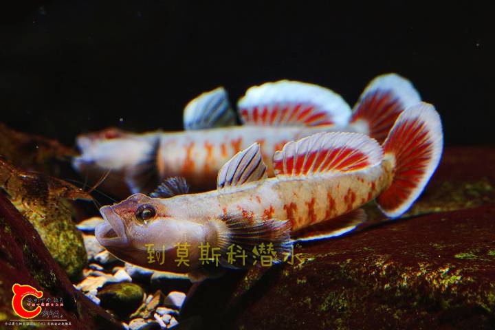 140141n0tbbtxttvgxwxw3.jpg