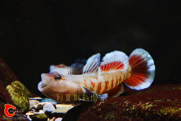 140150g58igzlfctfqzg8g.jpg