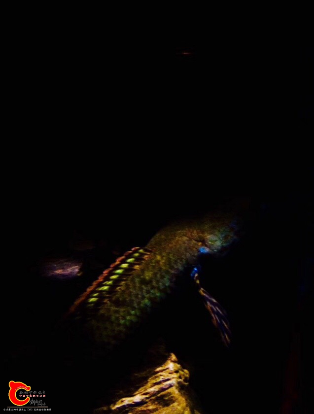 140426jwwrqzw0swszsxgi.jpg