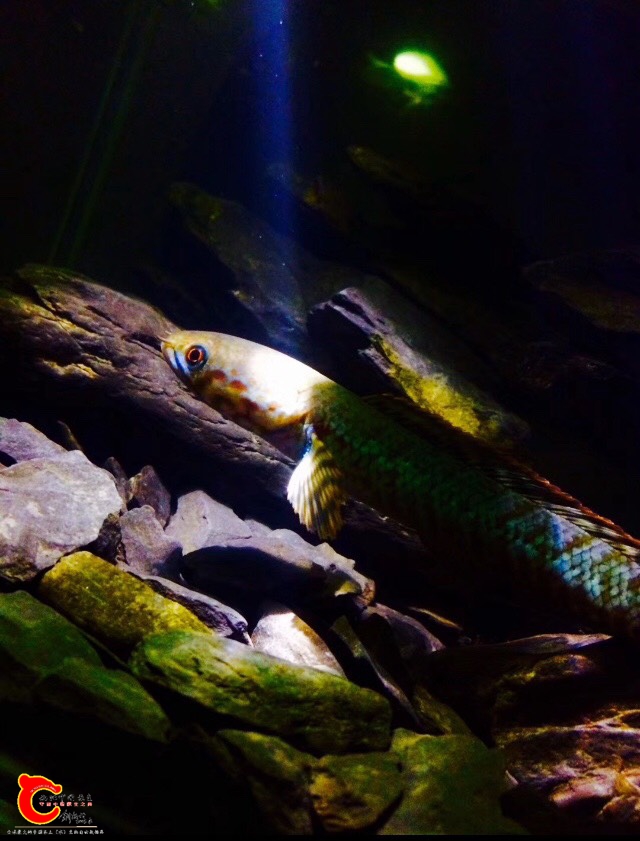 140431pdo5eekejxj7z24i.jpg