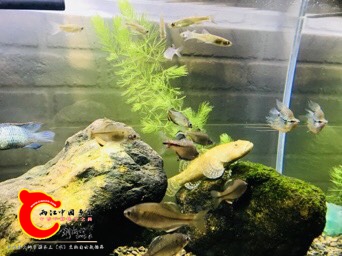 213150ilwfyl1dk6okl033.jpg