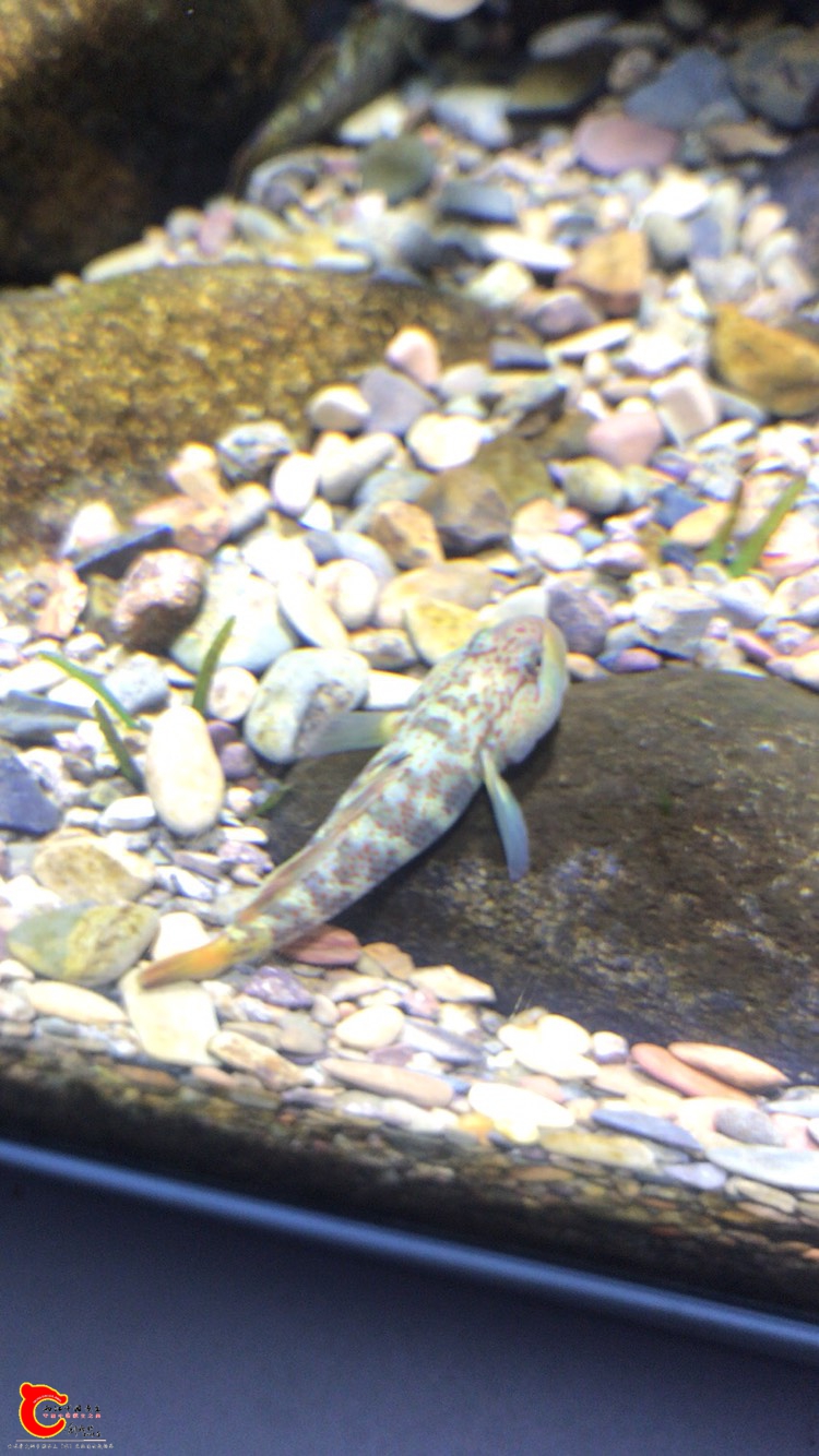 140549gvl6cj5fniifx555.jpg