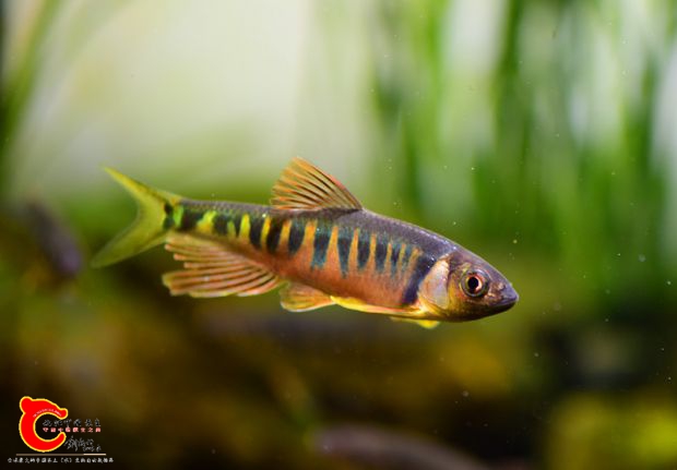 DSC_0285.JPG