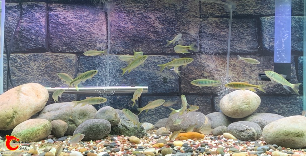 153052p6yhtxjmsg0880mw.jpg
