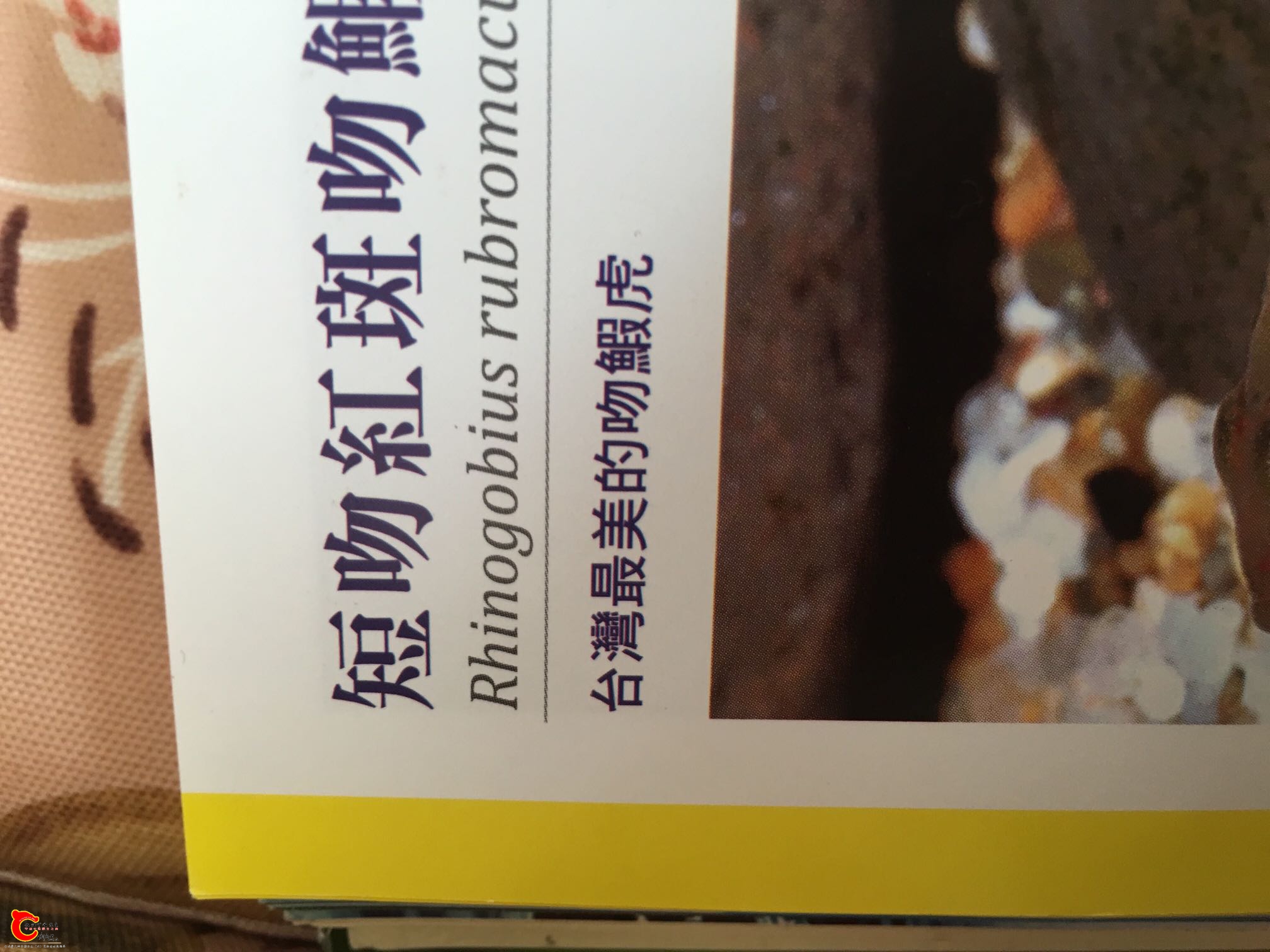 113749vymwcchcillwbgxw.jpg