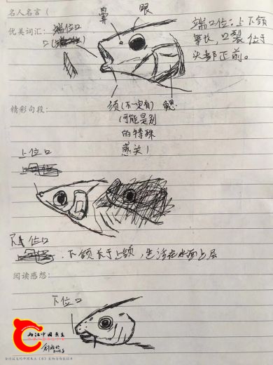 微信图片_20200210173925.jpg