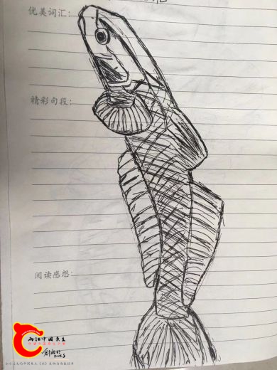 微信图片_20200210173934.jpg