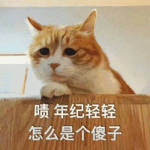 221519nk0qxzzgpr1q7zpx.jpg