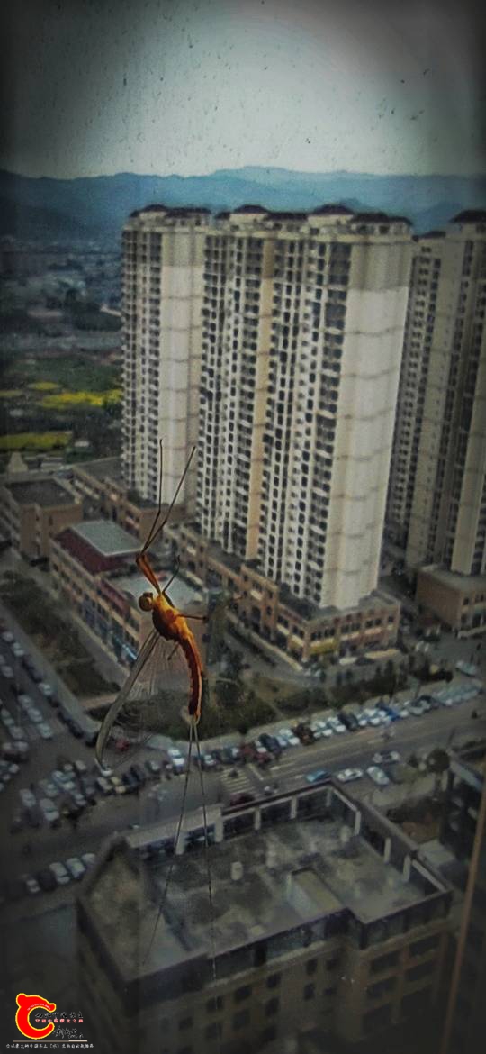 093045yagwu05a700h0c7b.jpeg