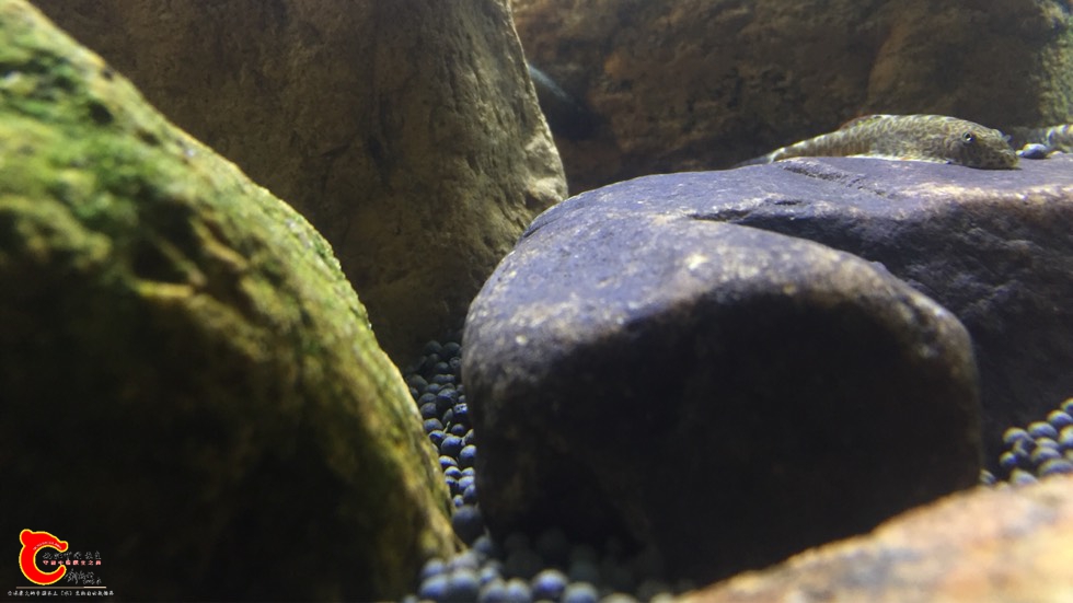 134034p38yfylrn8m04yb8.jpg