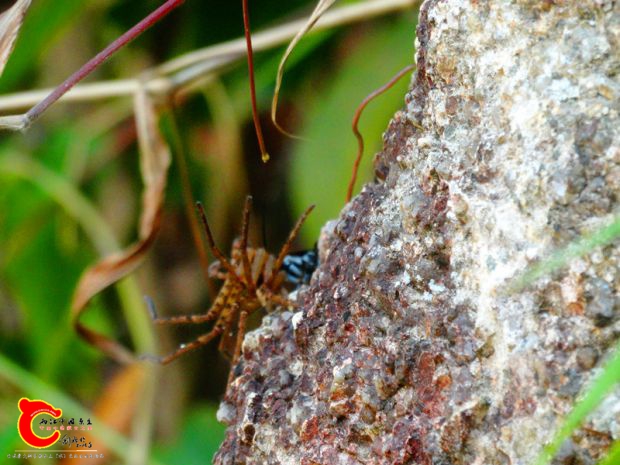 DSC00041_副本.jpg
