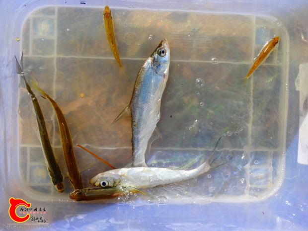 DSC00017_副本.jpg