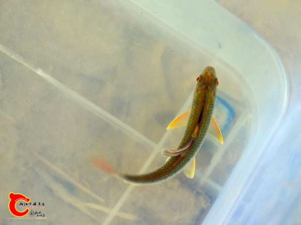 DSC00042_副本.jpg
