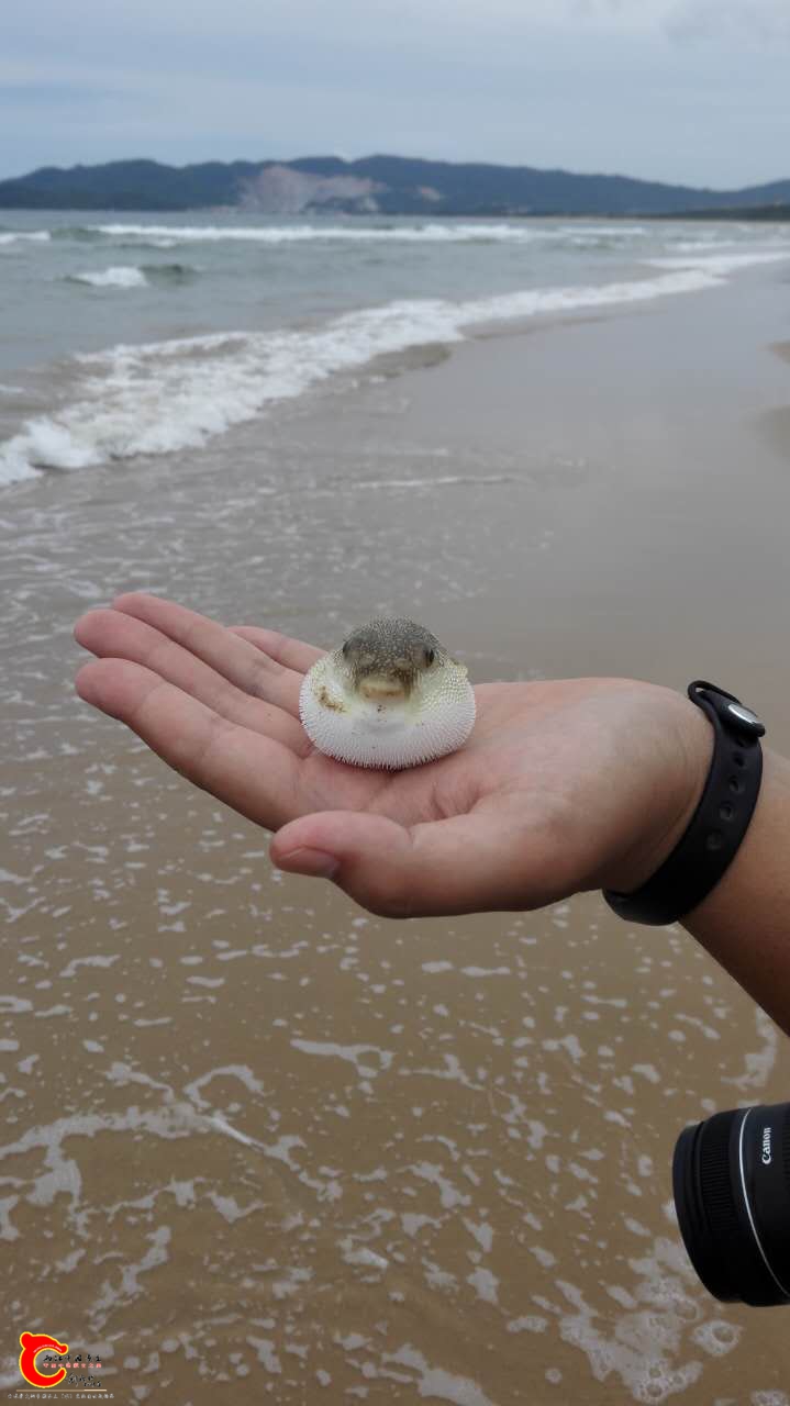 092625ttadtdiicd0tdwxi.jpg