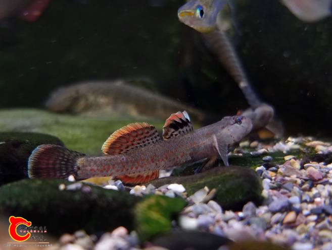 151057rzi32wtqyptizzq3.jpg