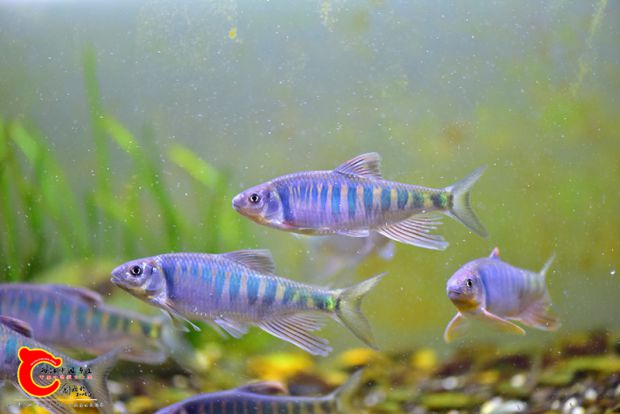 DSC_0392.JPG