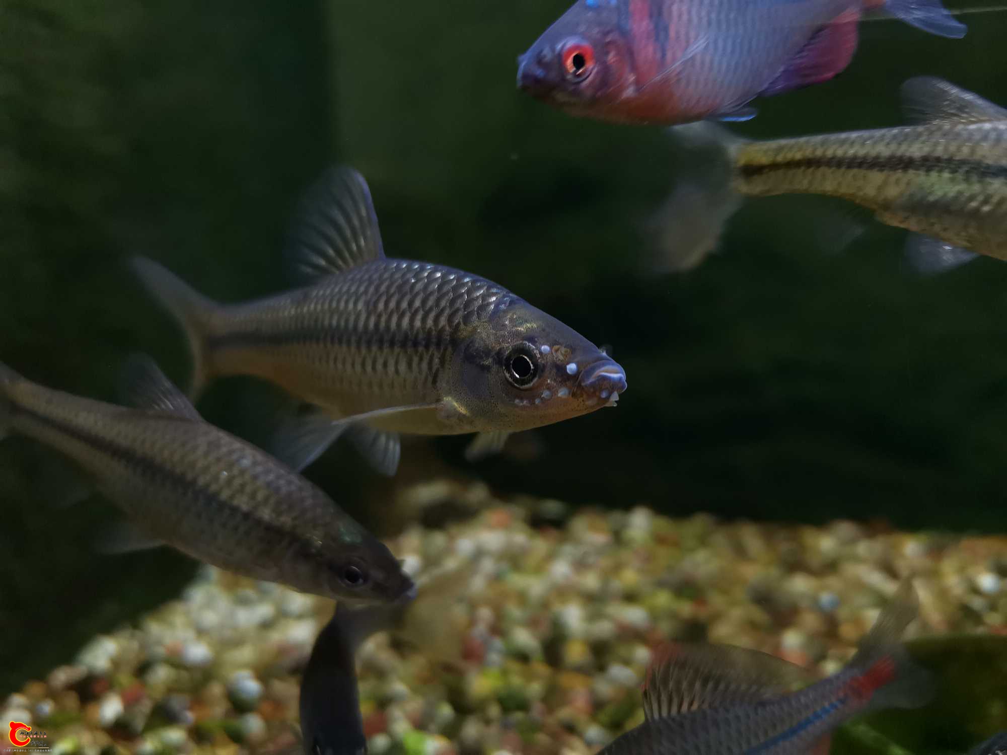 221518sbmd0tzcmcg1cbio.jpg