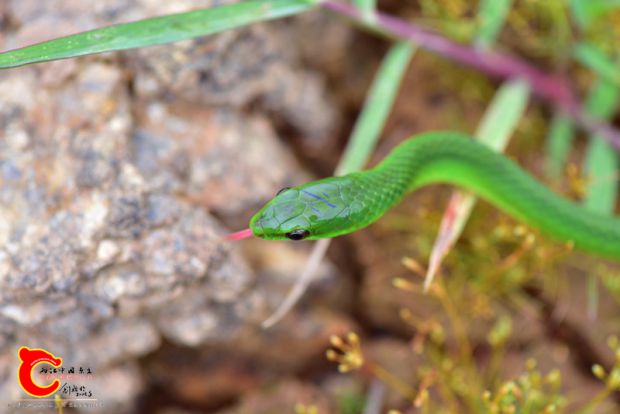 DSC_0472.JPG